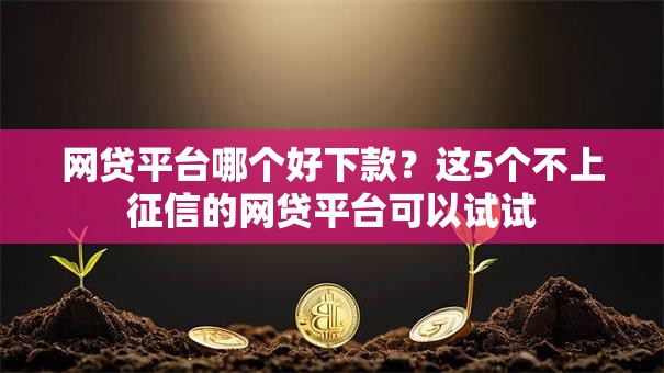 网贷平台哪个好下款？这5个不上征信的网贷平台可以试试