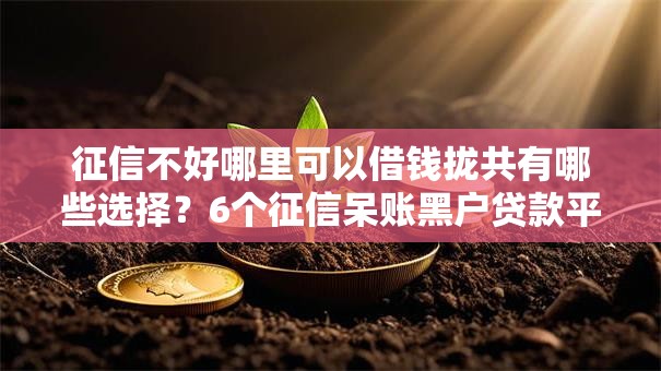 征信不好哪里可以借钱拢共有哪些选择？6个征信呆账黑户贷款平台详解