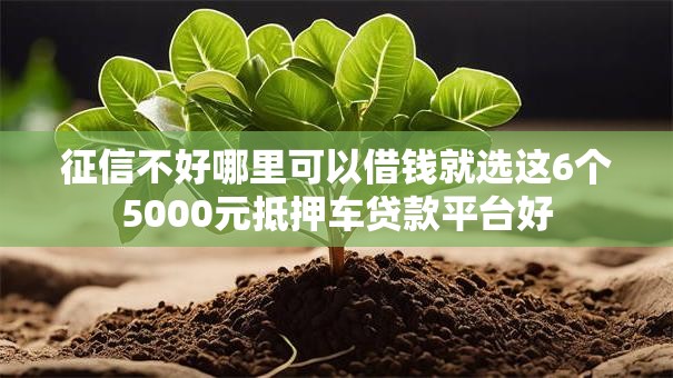 征信不好哪里可以借钱就选这6个5000元抵押车贷款平台好 征信不好哪里可以借钱就选这6个5000元抵押车贷款平台好