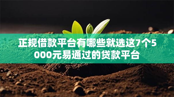 正规借款平台有哪些就选这7个5000元易通过的贷款平台