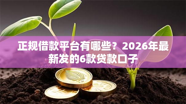 正规借款平台有哪些?2026年最新发的6款贷款口子 正规借款平台有哪些?2026年最新发的6款贷款口子