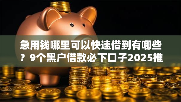 急用钱哪里可以快速借到有哪些？9个黑户借款必下口子2025推荐给你