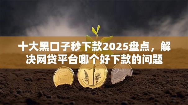 十大黑口子秒下款2025盘点,解决网贷平台哪个好下款的问题 十大黑口子秒下款2025盘点,解决网贷平台哪个好下款的问题