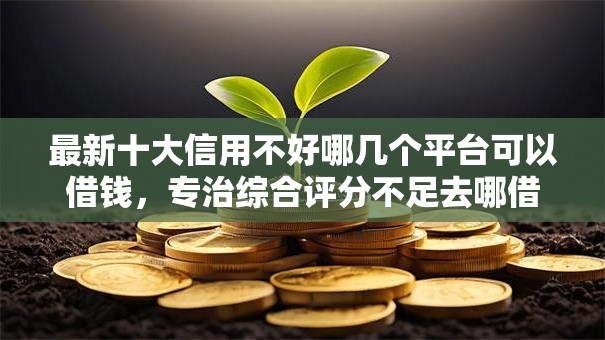 最新十大信用不好哪几个平台可以借钱，专治综合评分不足去哪借钱