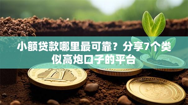 小额贷款哪里最可靠?分享7个类似高炮口子的平台 小额贷款哪里最可靠?分享7个类似高炮口子的平台