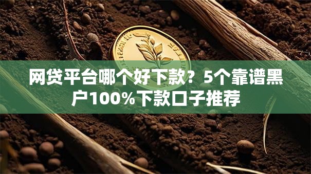 网贷平台哪个好下款?5个靠谱黑户100%下款口子推荐 网贷平台哪个好下款?5个靠谱黑户100%下款口子推荐