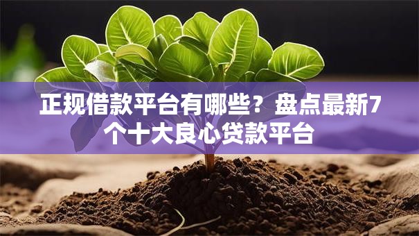 正规借款平台有哪些？盘点最新7个十大良心贷款平台
