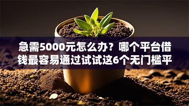 急需5000元怎么办？哪个平台借钱最容易通过试试这6个无门槛平台