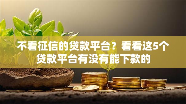 不看征信的贷款平台？看看这5个贷款平台有没有能下款的