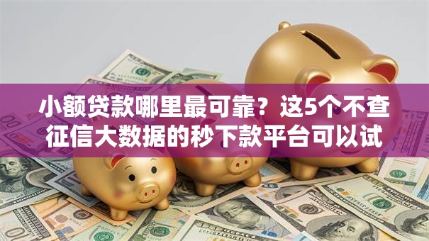 小额贷款哪里最可靠?这5个不查征信大数据的秒下款平台可以试试 小额贷款哪里最可靠?这5个不查征信大数据的秒下款平台可以试试