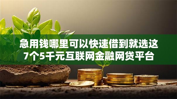 急用钱哪里可以快速借到就选这7个5千元互联网金融网贷平台 急用钱哪里可以快速借到就选这7个5千元互联网金融网贷平台