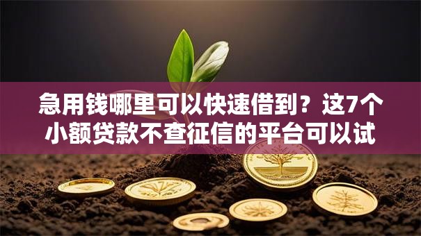 急用钱哪里可以快速借到？这7个小额贷款不查征信的平台可以试试
