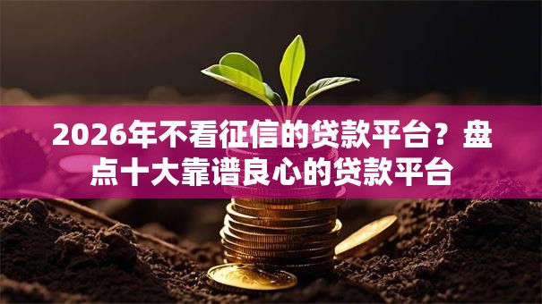 2026年不看征信的贷款平台?盘点十大靠谱良心的贷款平台 2026年不看征信的贷款平台?盘点十大靠谱良心的贷款平台