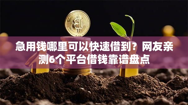 急用钱哪里可以快速借到?网友亲测6个平台借钱靠谱盘点 急用钱哪里可以快速借到?网友亲测6个平台借钱靠谱盘点