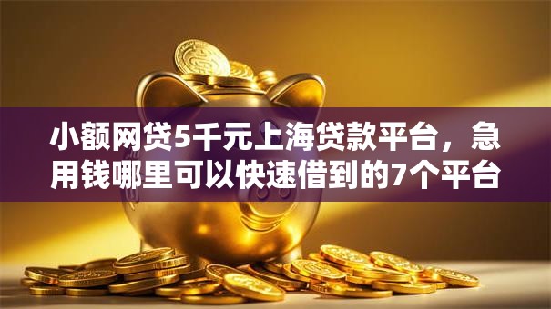 小额网贷5千元上海贷款平台,急用钱哪里可以快速借到的7个平台介绍 小额网贷5千元上海贷款平台,急用钱哪里可以快速借到的7个平台介绍