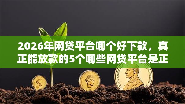 2026年网贷平台哪个好下款,真正能放款的5个哪些网贷平台是正规的推荐 2026年网贷平台哪个好下款,真正能放款的5个哪些网贷平台是正规的推荐