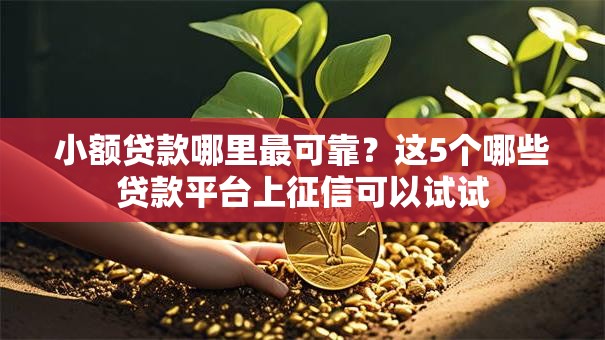 小额贷款哪里最可靠?这5个哪些贷款平台上征信可以试试 小额贷款哪里最可靠?这5个哪些贷款平台上征信可以试试