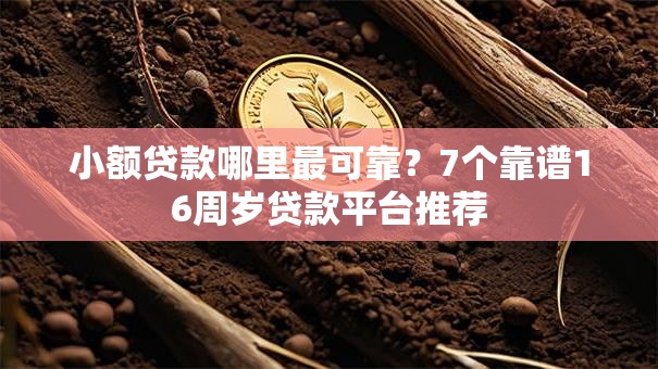小额贷款哪里最可靠?7个靠谱16周岁贷款平台推荐 小额贷款哪里最可靠?7个靠谱16周岁贷款平台推荐