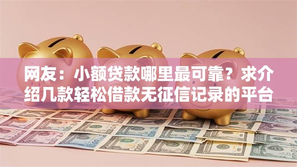 网友：小额贷款哪里最可靠？求介绍几款轻松借款无征信记录的平台