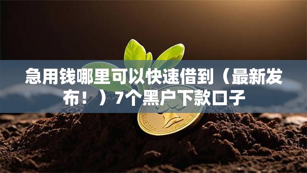 急用钱哪里可以快速借到（最新发布！）7个黑户下款口子