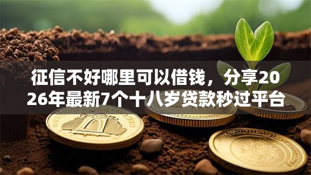 征信不好哪里可以借钱，分享2026年最新7个十八岁贷款秒过平台