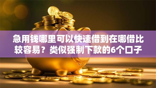 急用钱哪里可以快速借到在哪借比较容易？类似强制下款的6个口子参考