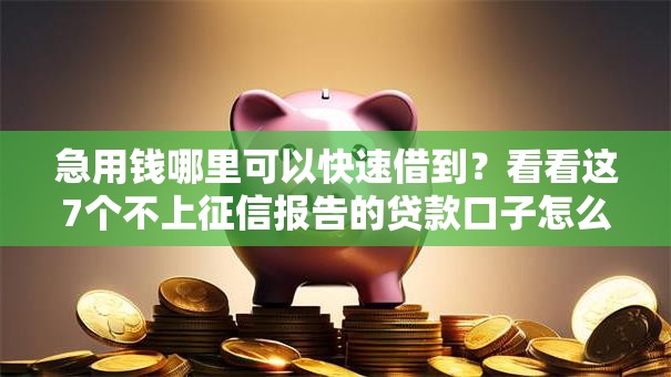 急用钱哪里可以快速借到？看看这7个不上征信报告的贷款口子怎么样
