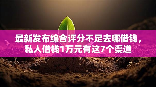 最新发布综合评分不足去哪借钱，私人借钱1万元有这7个渠道