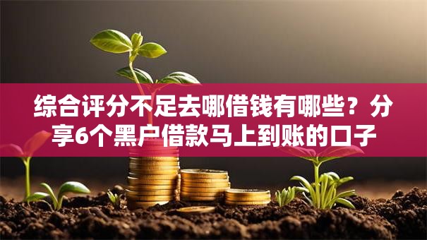 综合评分不足去哪借钱有哪些？分享6个黑户借款马上到账的口子