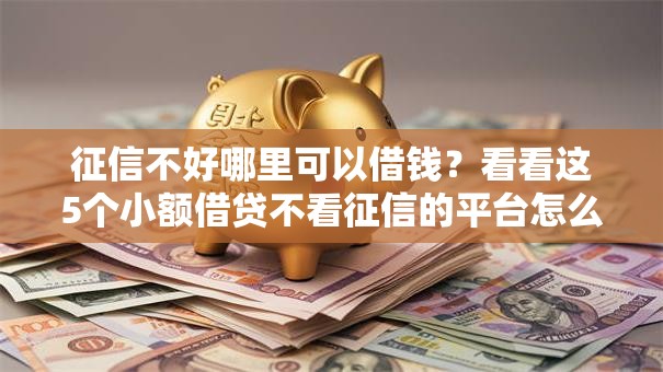 征信不好哪里可以借钱?看看这5个小额借贷不看征信的平台怎么样 征信不好哪里可以借钱?看看这5个小额借贷不看征信的平台怎么样