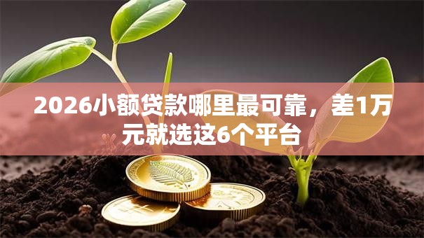 2026小额贷款哪里最可靠,差1万元就选这6个平台 2026小额贷款哪里最可靠,差1万元就选这6个平台