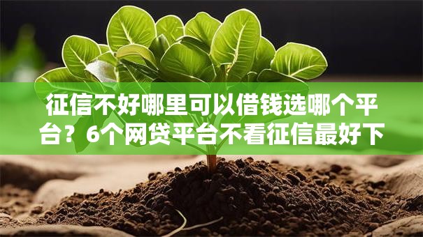 征信不好哪里可以借钱选哪个平台?6个网贷平台不看征信最好下款推荐 征信不好哪里可以借钱选哪个平台?6个网贷平台不看征信最好下款推荐