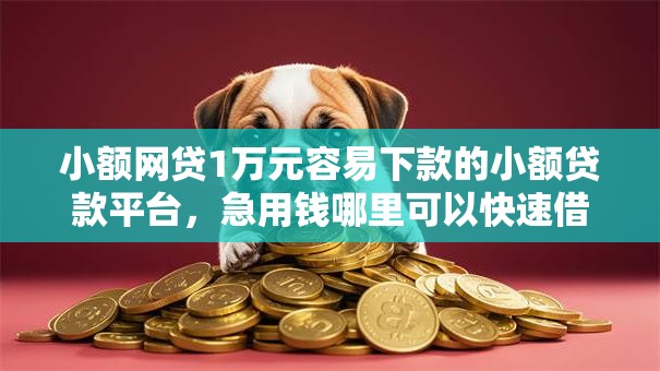 小额网贷1万元容易下款的小额贷款平台,急用钱哪里可以快速借到的8个平台介绍 小额网贷1万元容易下款的小额贷款平台,急用钱哪里可以快速借到的8个平台介绍