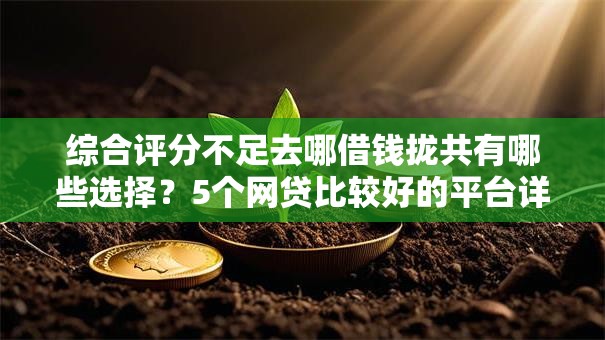 综合评分不足去哪借钱拢共有哪些选择?5个网贷比较好的平台详解 综合评分不足去哪借钱拢共有哪些选择?5个网贷比较好的平台详解