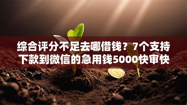 综合评分不足去哪借钱?7个支持下款到微信的急用钱5000快审快贷无需征信平台 综合评分不足去哪借钱?7个支持下款到微信的急用钱5000快审快贷无需征信平台