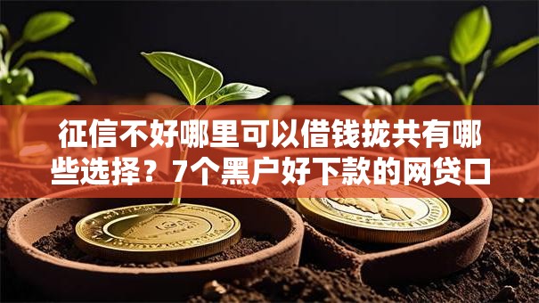 征信不好哪里可以借钱拢共有哪些选择?7个黑户好下款的网贷口子详解 征信不好哪里可以借钱拢共有哪些选择?7个黑户好下款的网贷口子详解