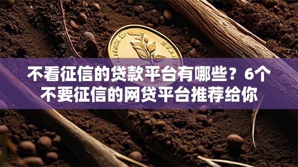 不看征信的贷款平台有哪些?6个不要征信的网贷平台推荐给你 不看征信的贷款平台有哪些?6个不要征信的网贷平台推荐给你