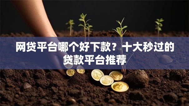 网贷平台哪个好下款?十大秒过的贷款平台推荐 网贷平台哪个好下款?十大秒过的贷款平台推荐