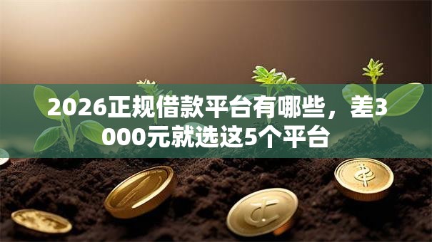 2026正规借款平台有哪些,差3000元就选这5个平台 2026正规借款平台有哪些,差3000元就选这5个平台