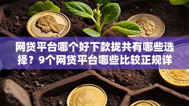网贷平台哪个好下款拢共有哪些选择?9个网贷平台哪些比较正规详解 网贷平台哪个好下款拢共有哪些选择?9个网贷平台哪些比较正规详解