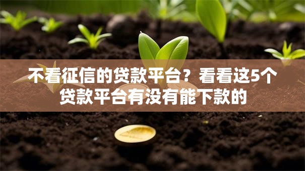 不看征信的贷款平台?看看这5个贷款平台有没有能下款的 不看征信的贷款平台?看看这5个贷款平台有没有能下款的