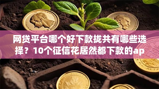 网贷平台哪个好下款拢共有哪些选择?10个征信花居然都下款的app详解 网贷平台哪个好下款拢共有哪些选择?10个征信花居然都下款的app详解