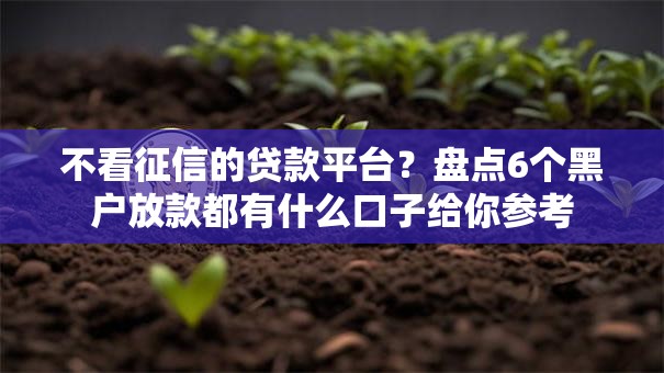 不看征信的贷款平台?盘点6个黑户放款都有什么口子给你参考 不看征信的贷款平台?盘点6个黑户放款都有什么口子给你参考