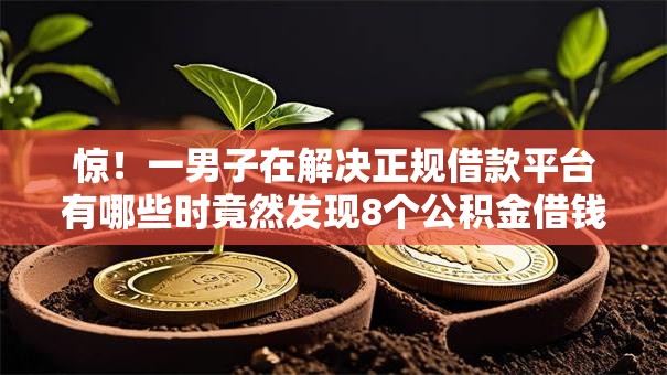 惊!一男子在解决正规借款平台有哪些时竟然发现8个公积金借钱软件,事后分享了出来 惊!一男子在解决正规借款平台有哪些时竟然发现8个公积金借钱软件,事后分享了出来