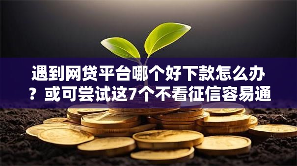 遇到网贷平台哪个好下款怎么办?或可尝试这7个不看征信容易通过的贷款平台 遇到网贷平台哪个好下款怎么办?或可尝试这7个不看征信容易通过的贷款平台