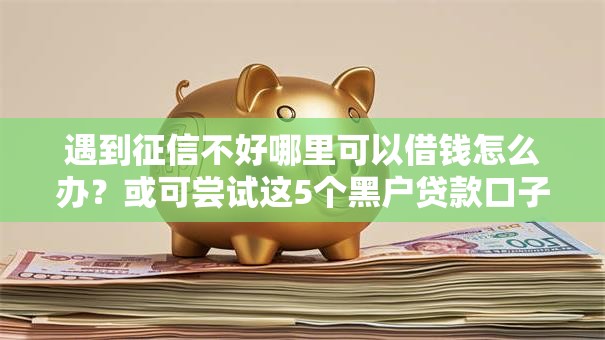 遇到征信不好哪里可以借钱怎么办？或可尝试这5个黑户贷款口子