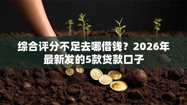综合评分不足去哪借钱？2026年最新发的5款贷款口子