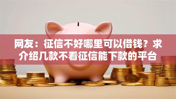 网友：征信不好哪里可以借钱？求介绍几款不看征信能下款的平台