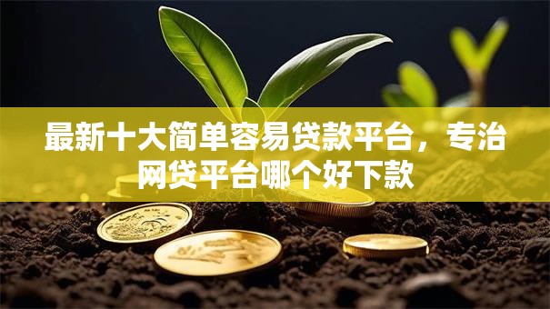 最新十大简单容易贷款平台，专治网贷平台哪个好下款