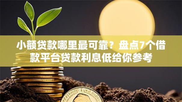 小额贷款哪里最可靠?盘点7个借款平台贷款利息低给你参考 小额贷款哪里最可靠?盘点7个借款平台贷款利息低给你参考